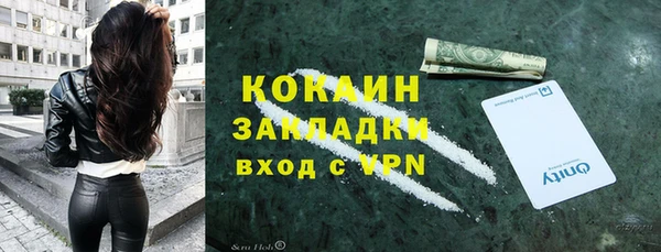 стаф Арсеньев