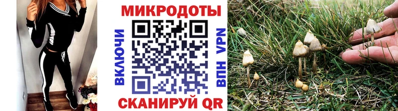 Галлюциногенные грибы ЛСД  Хилок 